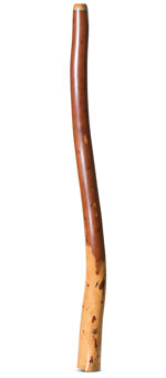 Wix Stix Opal Didgeridoo (WS334)
